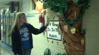 Classroom 7 Habits Tree
