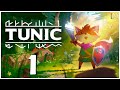 Tunic video
