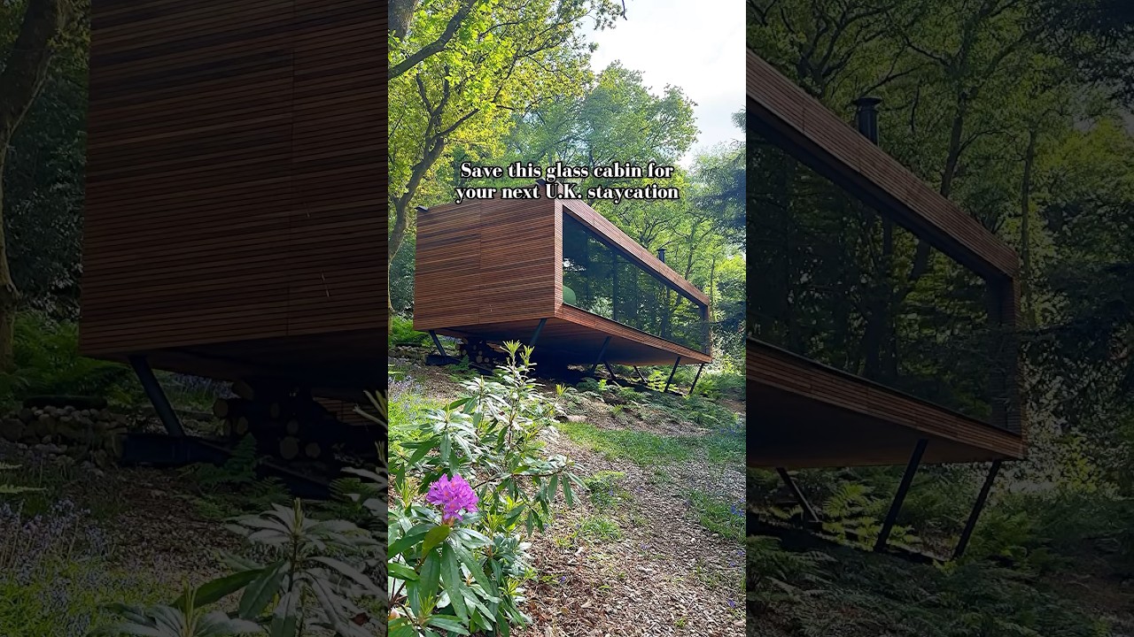 Would you stay in this glass treehouse in the woods? 