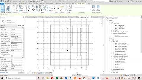 Section is not visible in plan