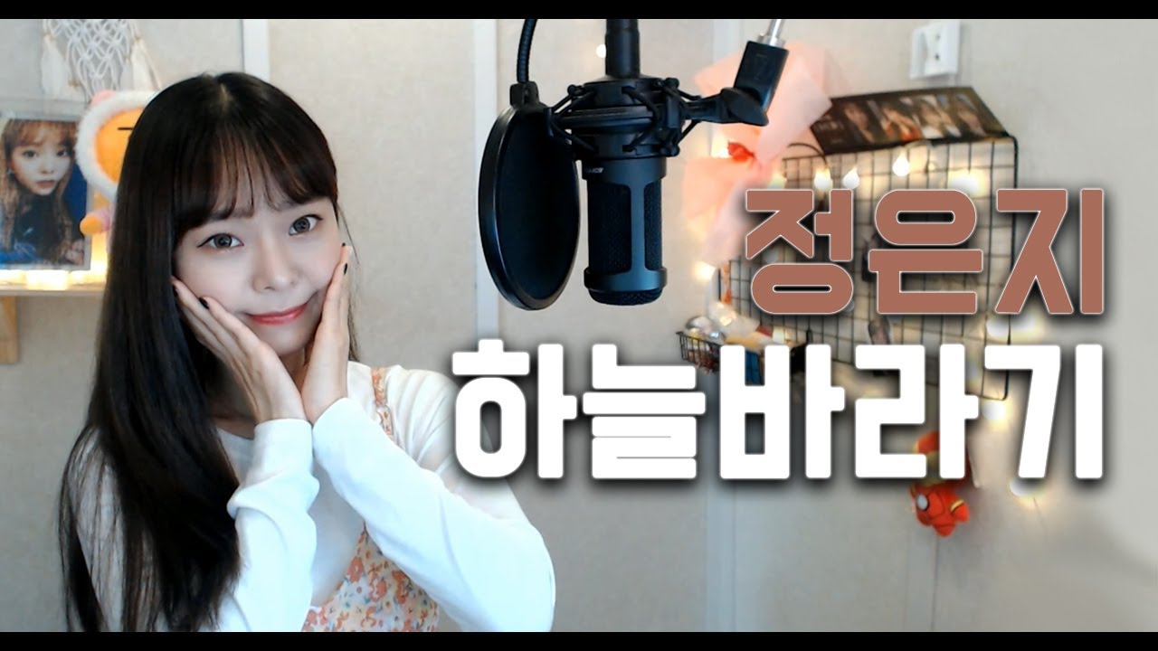 하늘바라기 - 정은지 /  cover.배그나