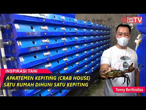 Video: Kompleks artileri automatik berkaliber kecil 