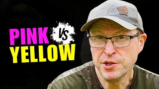 Does The Colour Of Your Bait REALLY Matter ⁉️
