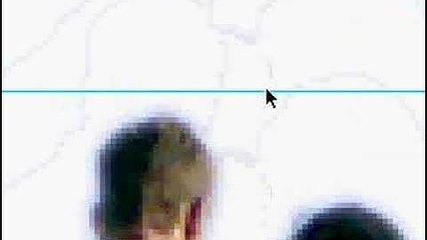 Bitmap Croping and Cutting out of a photo in Adobe Fireworks