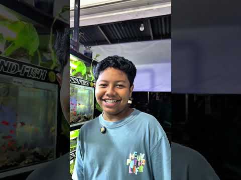 cerita lucu bocil diputusin ceweknya karena gak punya ikan hias #bosbosqu #kontenkomedi #ceritalucu