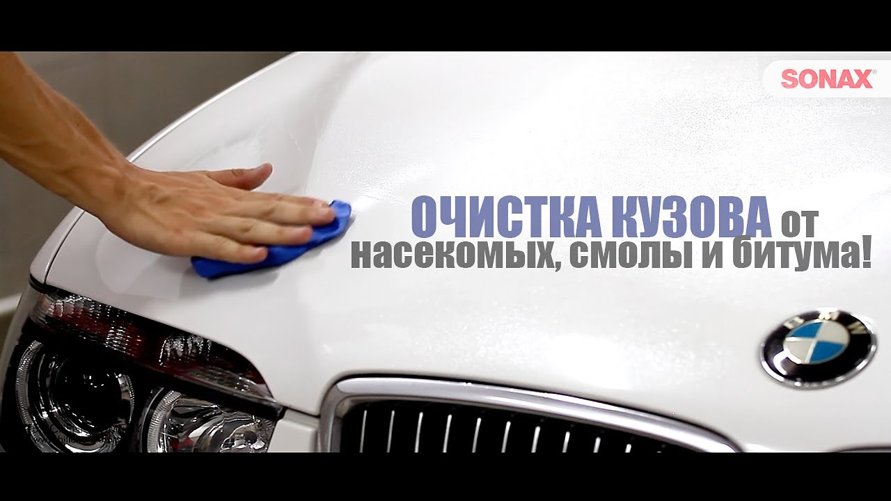 Очистка машины от насекомых