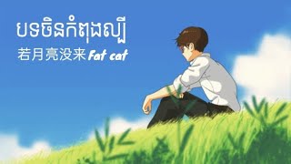 បទចិនកំពុងល្បី - Fat cat _若月亮没来 💔🕊️song sad china