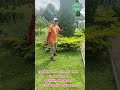 #изгородь #дача #смарагд #бонсай #satisfying #брабант #природа #уходзасадом