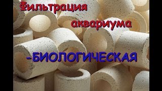 Фильтрация аквариума. Выпуск 3. Биологическая фильтрация. Часть 1 видео Биофильтры для аквариума