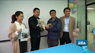 China: Biotech company Sinogene clones celebrity dog actor Juice