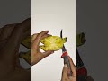 Amazing new fruit cutting🍌#reels #fruit #viral #trending #shortstory