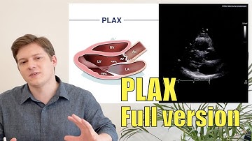 〖Echocardiography〗 Parasternal Long Axis View (full version) 💞