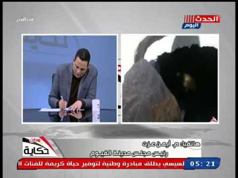 رئيس مجلس مدينة الفيوم يكشف اسباب غرق مقابر بني صالح بالفيوم