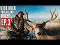 WIDE BUCK! | PUBLIC LAND MULEY | BACKPACK HUNT | 4K VIDEO | EP 3