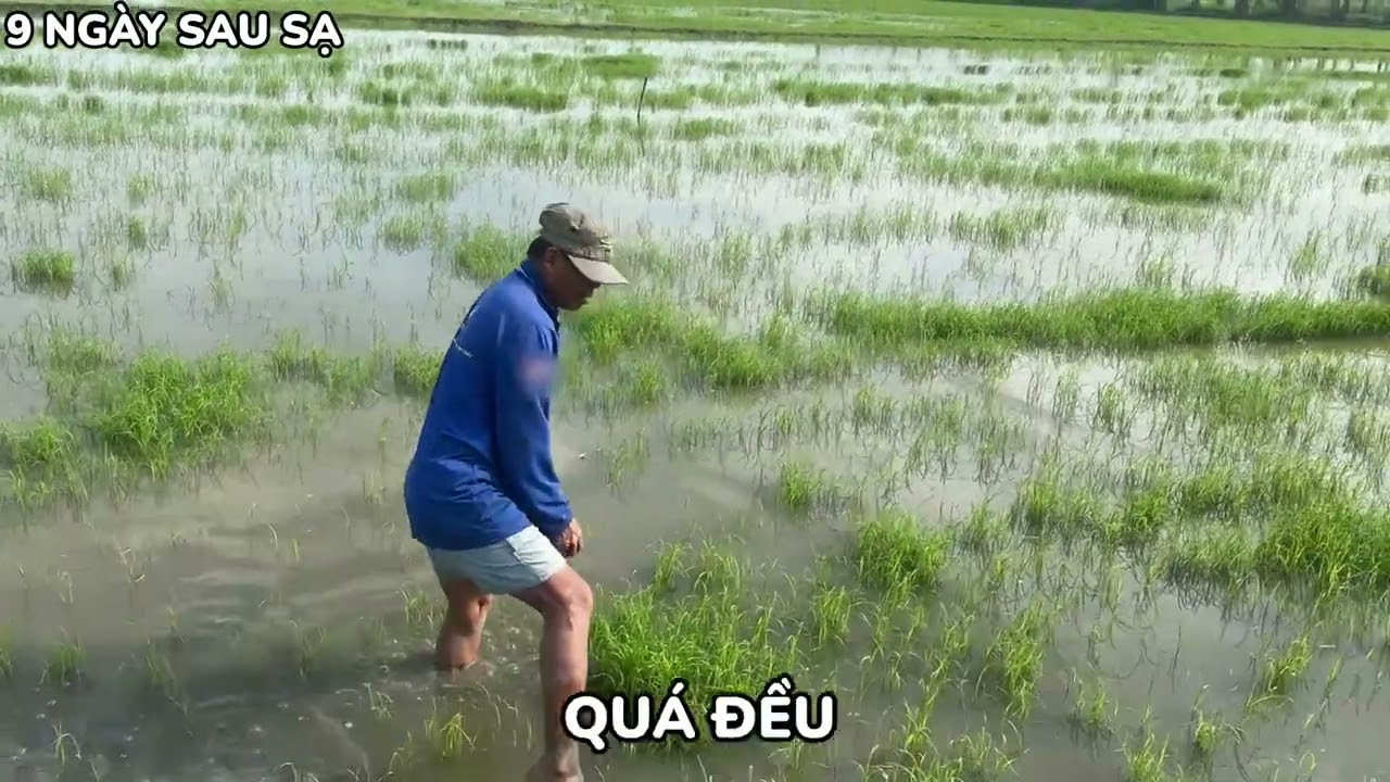  NÔNG DÂN GẶP KHÓ ĐẦU VỤ VÀ GIẢI PHÁP TIẾT KIỆM VÀ HIỆU QUẢ 🌾 