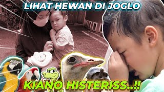 Download Lagu TINGKAH LUCU KIANO SAAT BERTEMU HEWAN DI RUMAH JOGLO..DIKETAWAIN DJALU SAMA DZAKY NIH..HIHIHI MP3