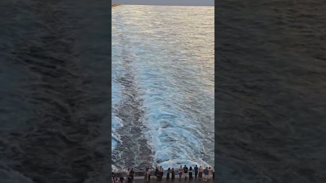 Amazing view of the ocean from a cruise liner #shorts #cruise #shortvideo