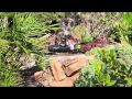 G-Scale Model Trains of Clark Gardens
