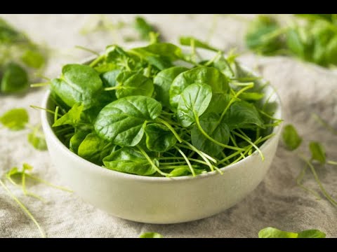 ВОДНЫЙ КРЕСС NASTURTIUM OFFICINALE ВОДЯНОЙ КРЕСС