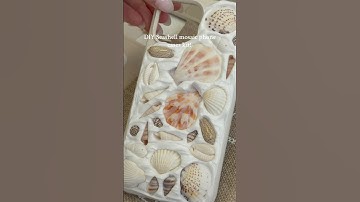 Make your own seashell phone case with our DIY Kit! 🐚🤍 #seashellphonecase #seashellart #diykit