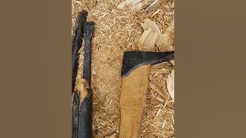 Birth of a honeybee log hive part 2 24/8/18 Cambridge