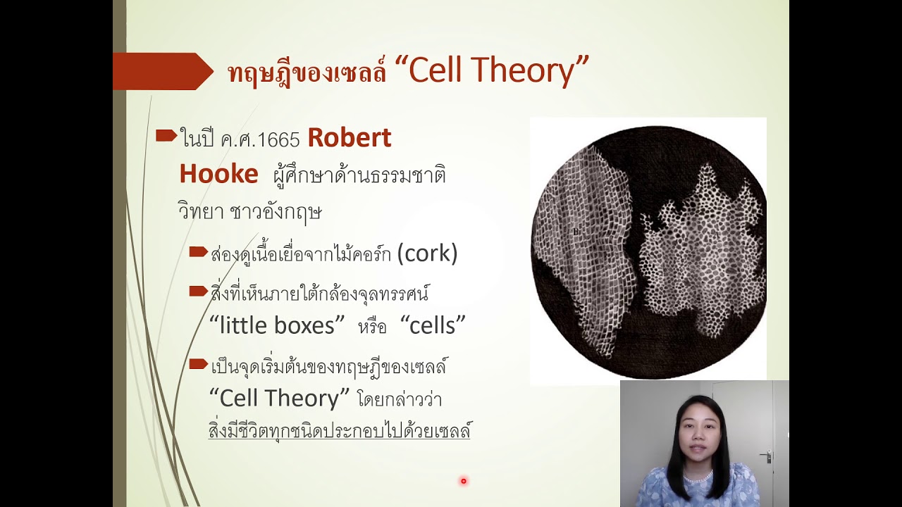 ประวัติและพัฒนาการทางจุลชีววิทยา ครั้งที่ 1 ตอน 1