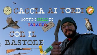 CACCIA ai TORDI PUGLIA  UN RIENTRO sotto I COLLI DI TARANTO  CON IL BASTONE DEL NONNO  TRUSH  4K