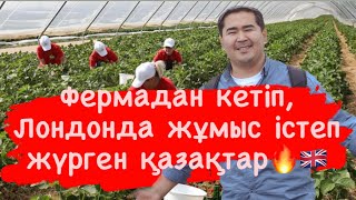 Фермадан кетіп, Лондонда жұмыс істеп жүрген қазақ бауырлар!