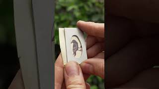 DIY Spinner Blade Maker