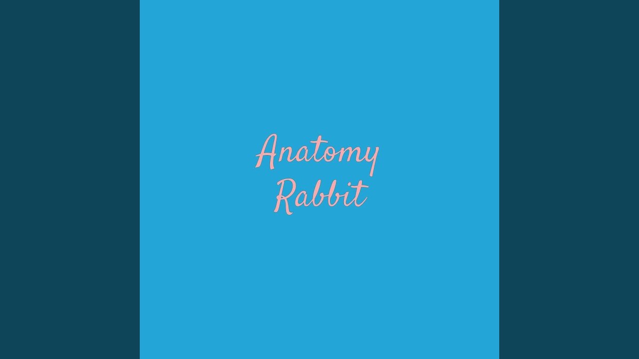 Every Time bekijken op YouTube Every Time bekijken op YouTube