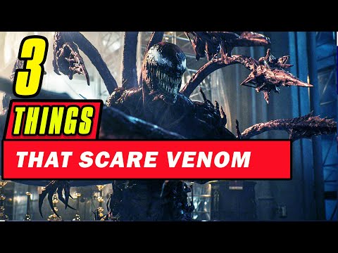Why Was Venom So Scared Of Carnage?