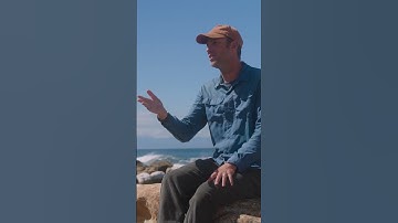 Ocean Conservation | Kelp forests and Coral reefs