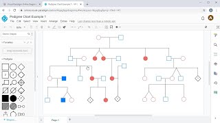 Create Pedigree Chart Online screenshot 4