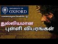 Photographs of Men Who Believe They Are Christ’s Second Coming Inri Jesus Cross