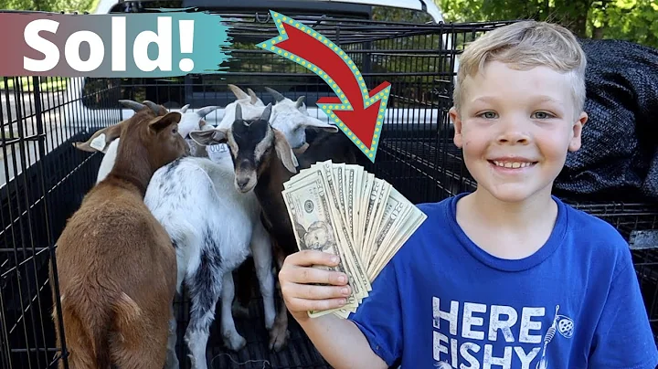Houston Sold My Goats!