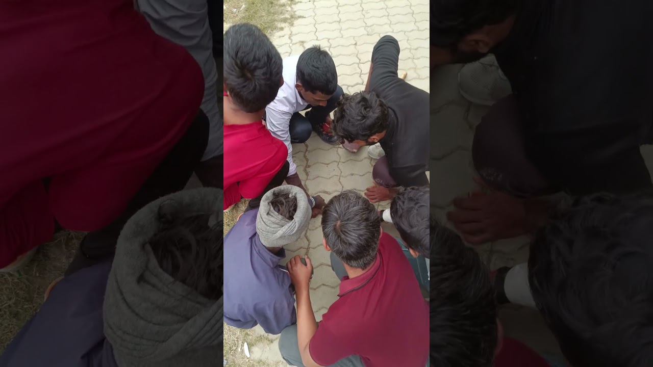 happy new year गाँव का क्रिकेट" (Gao best cricket shots in a short video!! 