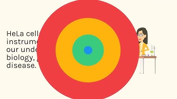 HeLa Transfection Kit
