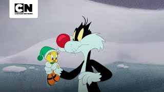 INTRUSO REFRESCANTE | LOONEY TUNES CARTOONS | CARTOON NETWORK