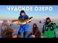 Щука-сюрприз и встреча с видеоблогером - зимняя рыбалка с друзьями на Чудском озере