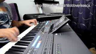 Video thumbnail of "Tyros 5 Sarba Moldoveneasca"