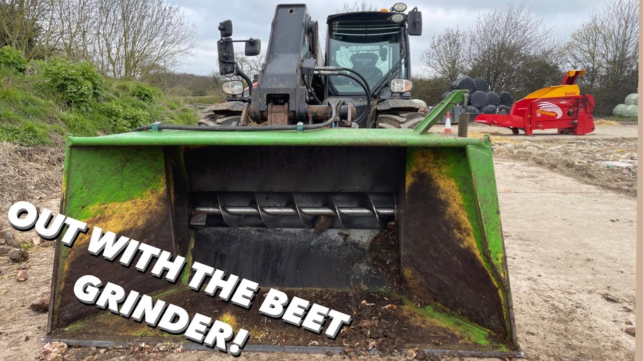 OUT WITH THE BEET GRINDER! SUNNY WEATHER, AND SPRING BARLEY DISEASE