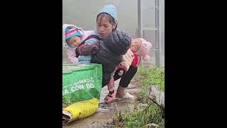 A Single Mother Finds Two Children Crying on the Road in the Rain 💔