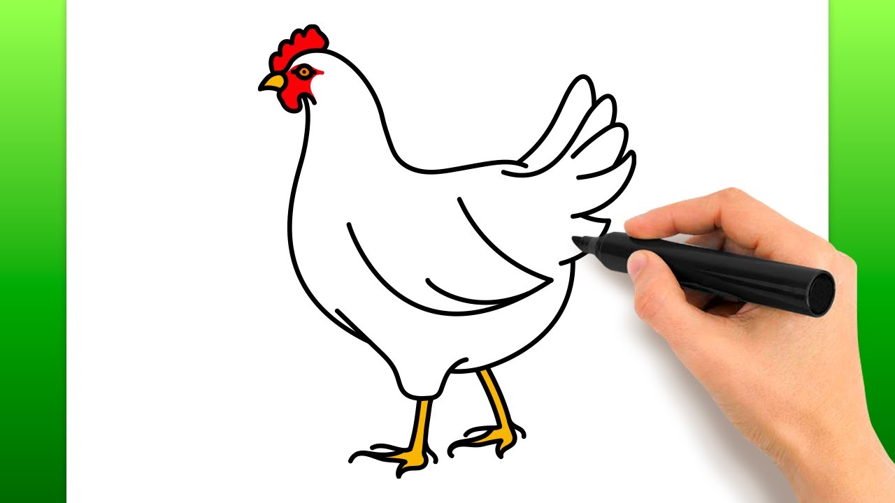 COMO DESENHAR UMA GALINHA FÁCIL - HOW TO DRAW A CHICKEN EASY 