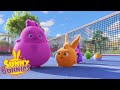 Videos For Kids | Sunny Bunnies GLUTTON | Funny Videos For Kids |