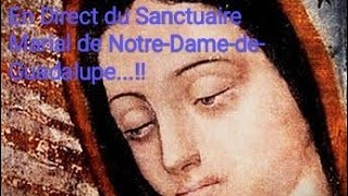 🔴 En Direct Du Sanctuaire De Notre-Dame-De-Guadalupe