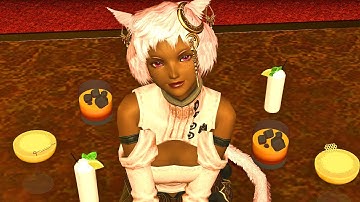 What Did You Even Do?! - Pink and Otto | FFXIV Machinima Mini Episode