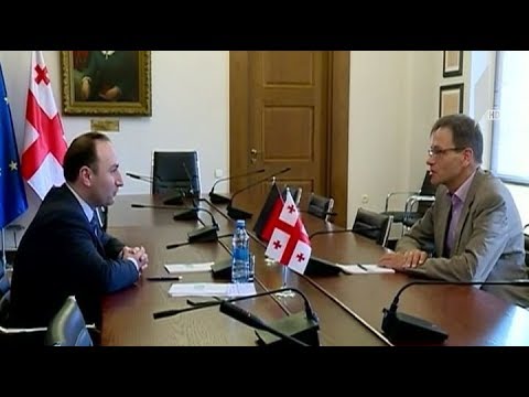 ანრი ოხანაშვილი გერმანიის ელჩს შეხვდა