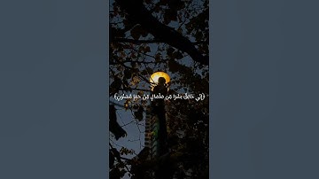 القارئ هزاع البلوشي🎧🥺راحه نفسيه حالات واتس تلاوه خاشعه مؤثره 𝙌𝙪𝙧𝙖𝙣 𝙎𝙩𝙖𝙩𝙪𝙨❤