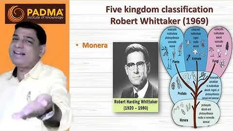 Chapter 6 -  Classification Of Plants | Lecture 1 | IX Standard, Maharashtra Board.