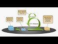 Scrum básico con GitHub